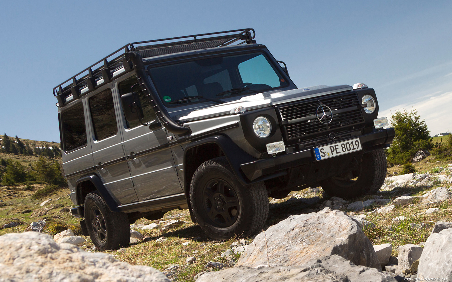 Mercedes Benz g class 2010