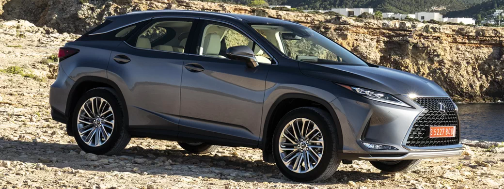   Lexus RX 350 (Grey) - 2019 - Car wallpapers
